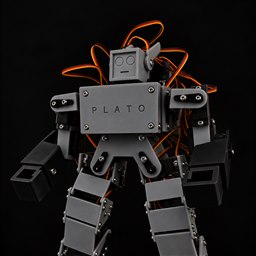 plato's avatar